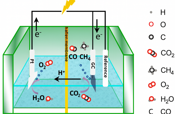 Electrocatalytic Mechanism Electrocatalytic Mechanism